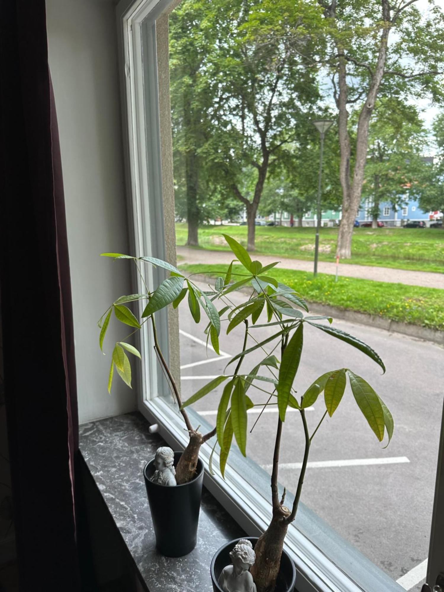 卡尔斯塔德膳食公寓 外观 照片
